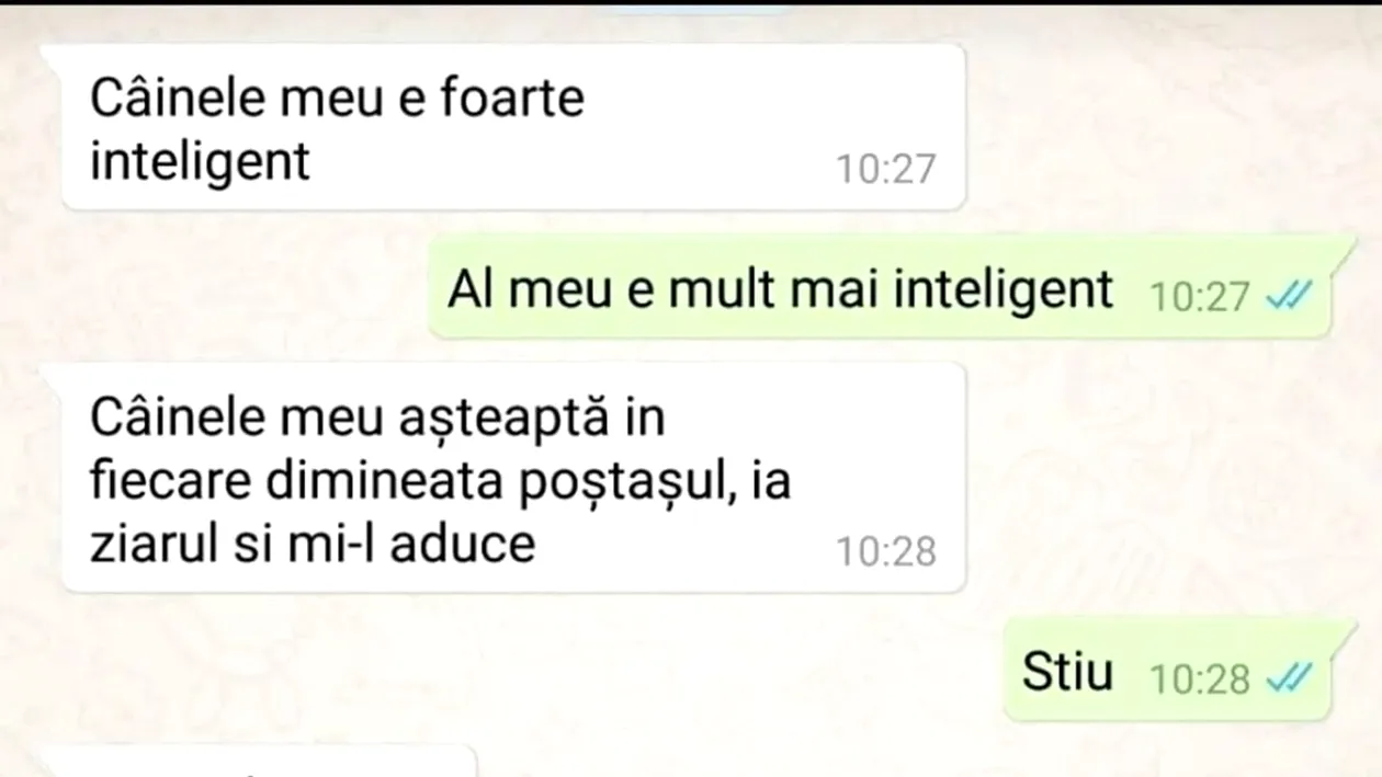 BANCUL de luni | Doi amici stau de vorbă despre câinii lor inteligenți