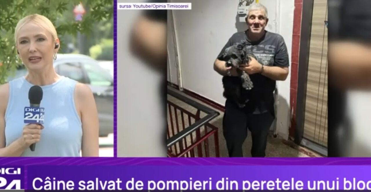 Incredibila salvare a cățelului Johnny. Stăpânul lui a sunat la 112, după ce animalul a dispărut și a bănuit că ar fi căzut printre țevi