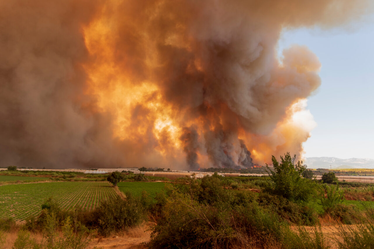 ALERTĂ de incendii puternice în Grecia și Turcia. Turiști români, evacuați din hoteluri