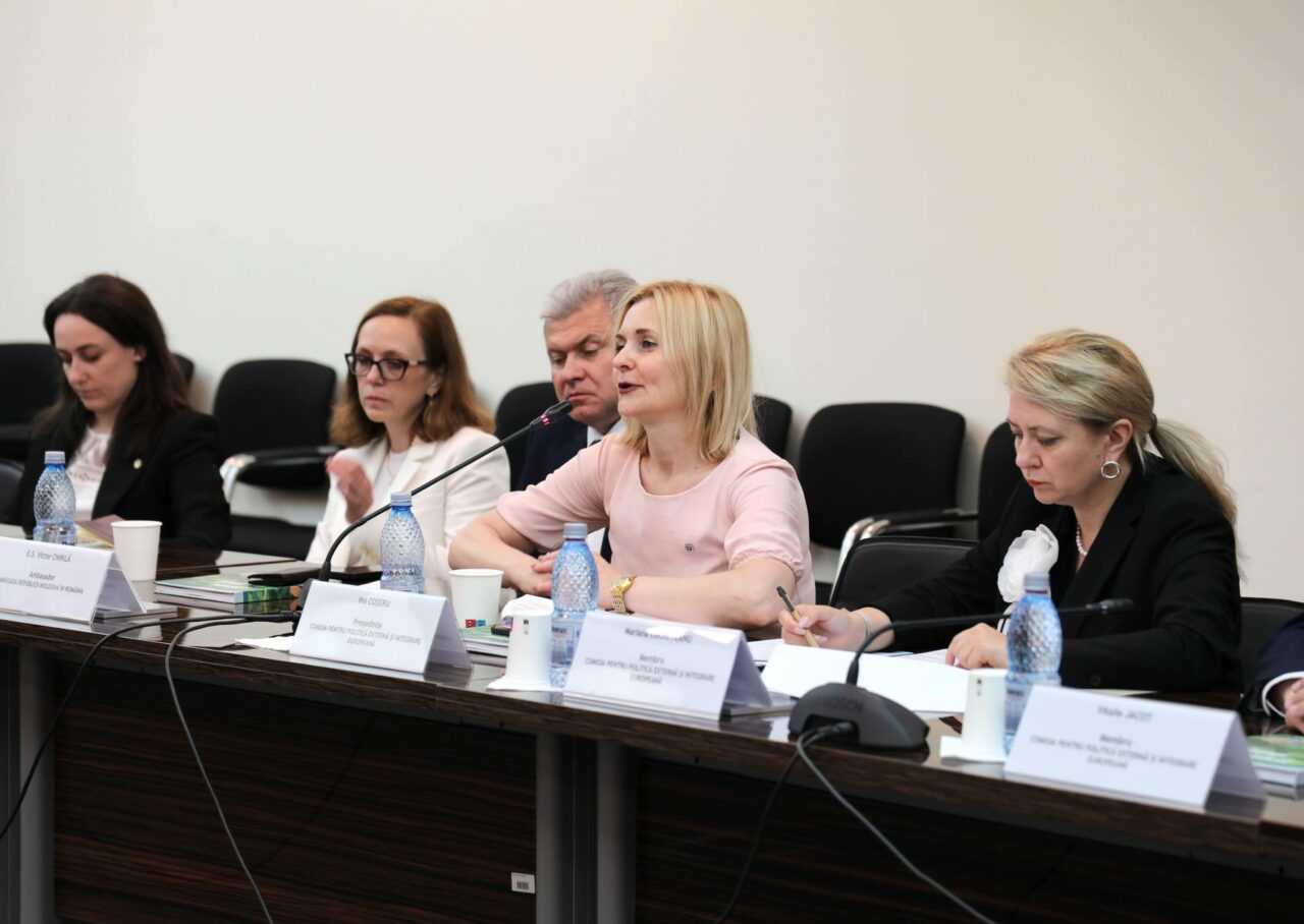 Ministrul Adrian Câciu, întâlnire cu Ina Coşeru. Sprijinul pentru Republica Moldova și reconstrucția Ucrainei, două subiecte majore de discuție
