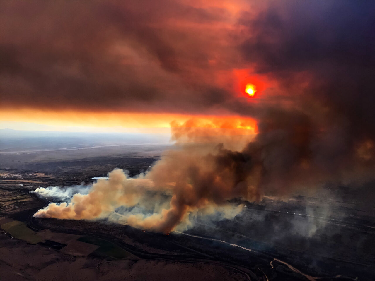 New Mexico, devastat de INCENDIILE de vegetație. Locuitorii sunt îndemnați să-și părăsească imediat locuințele