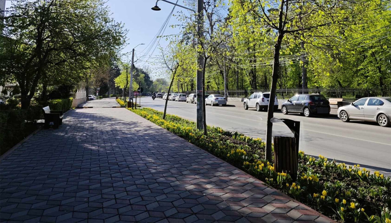 Parcare de 10.910 lei în BOTOȘANI. Cine este șoferul care a plătit această sumă istorică