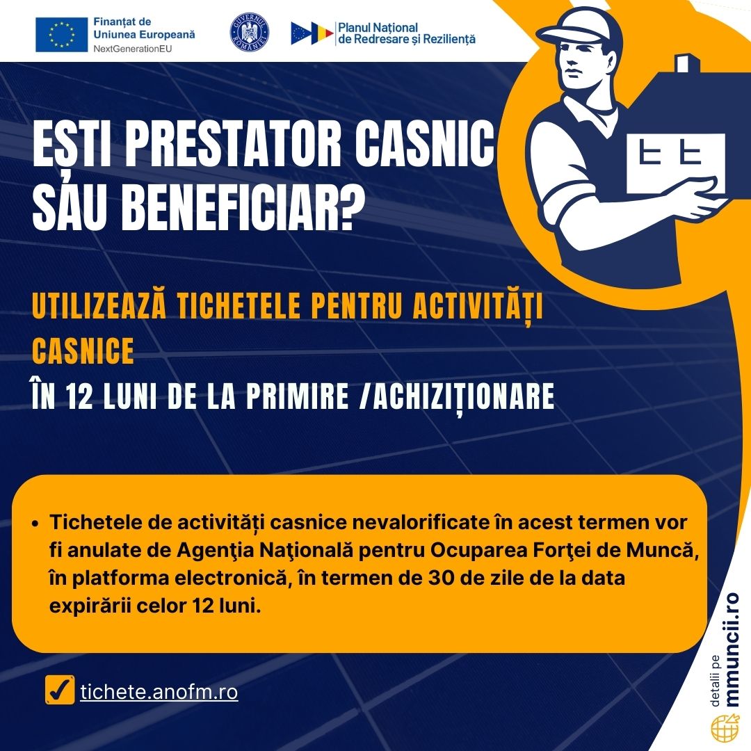 Ministerul Muncii: TICHETELE de activităţi casnice pot fi valorificate în termen de 12 luni de la primire
