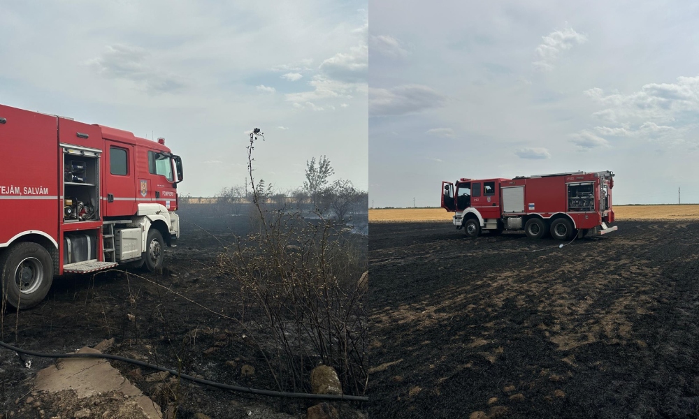 Un INCENDIU puternic de vegetație a izbucnit în Popești Leordeni. Flăcările s-au răspândit către o locuință și o autospecială