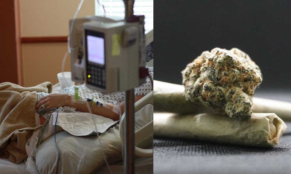 Fenomenul copiilor DROGAȚI cu canabis ia amploare. Șase minori, din Bulgaria, ajunși în stare gravă la spital, după ce au mâncat biscuiți cu marijuana