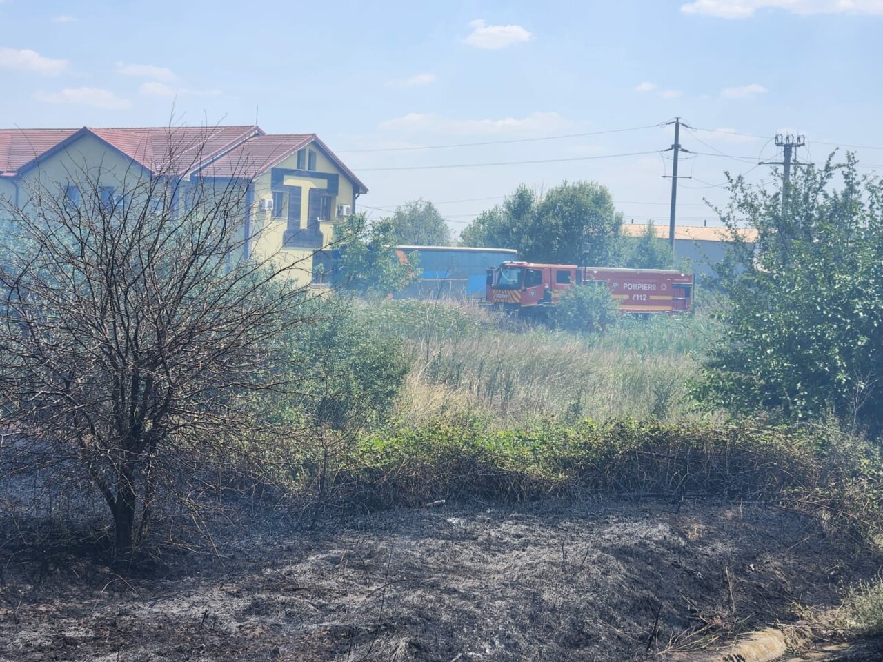 Anunț CFR: „Circulația feroviară temporar OPRITĂ între Coțofeni și Ișalnița din cauza unui incendiu de vegetație”