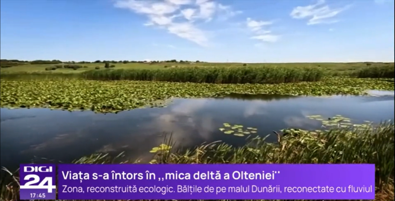 „Mica DELTĂ a Olteniei”, readusă la viață, după ani de zile. Comuniștii transformaseră zona în fermă piscicolă