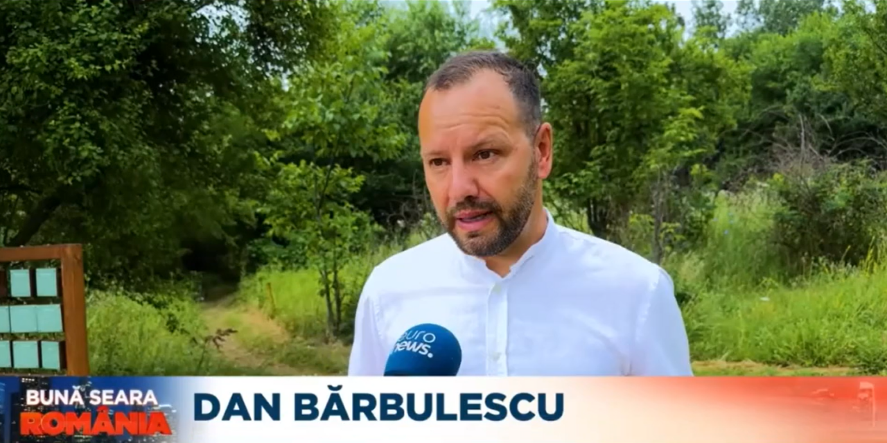 Pajiștea Petricani, o oază verde cu peste 200 de specii de animale, în inima CAPITALEI