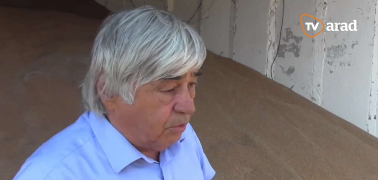 SALARII de 3.000 de euro, în sectorul agricol, din județul Arad: „Mulți s-au întors din străinătate ca să lucreze la noi”