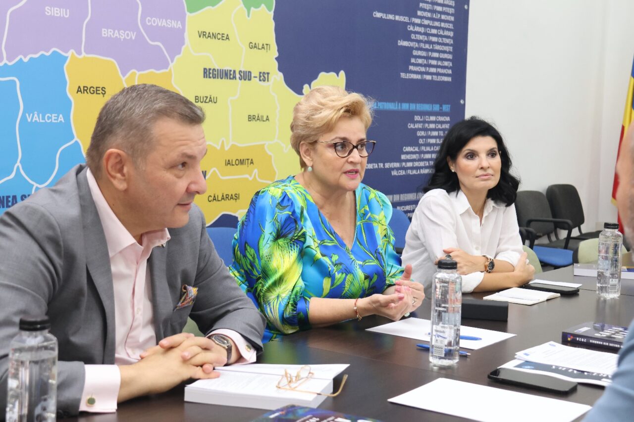 Problemele antreprenorilor români, pe masa PUSL. Principalele teme de discuții
