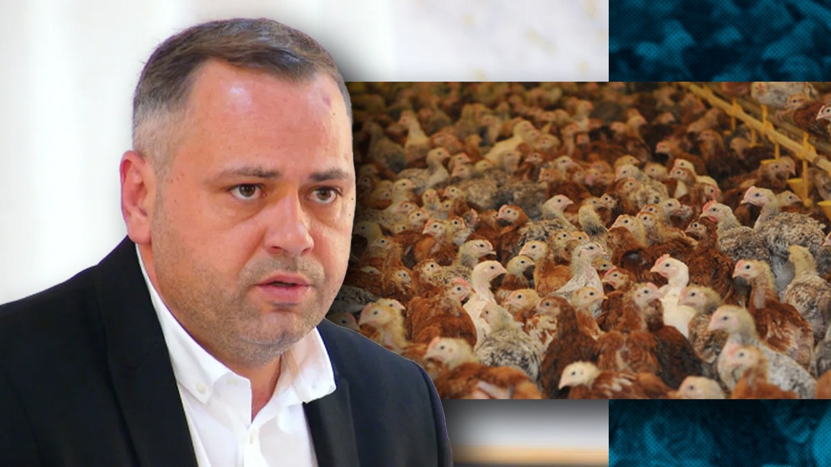 Italia și Franța importă 180 de milioane de PĂSĂRI din ROMÂNIA/Ministrul Florin BARBU: Vom produce în aceste ferme peste 50 de milioane de pui
