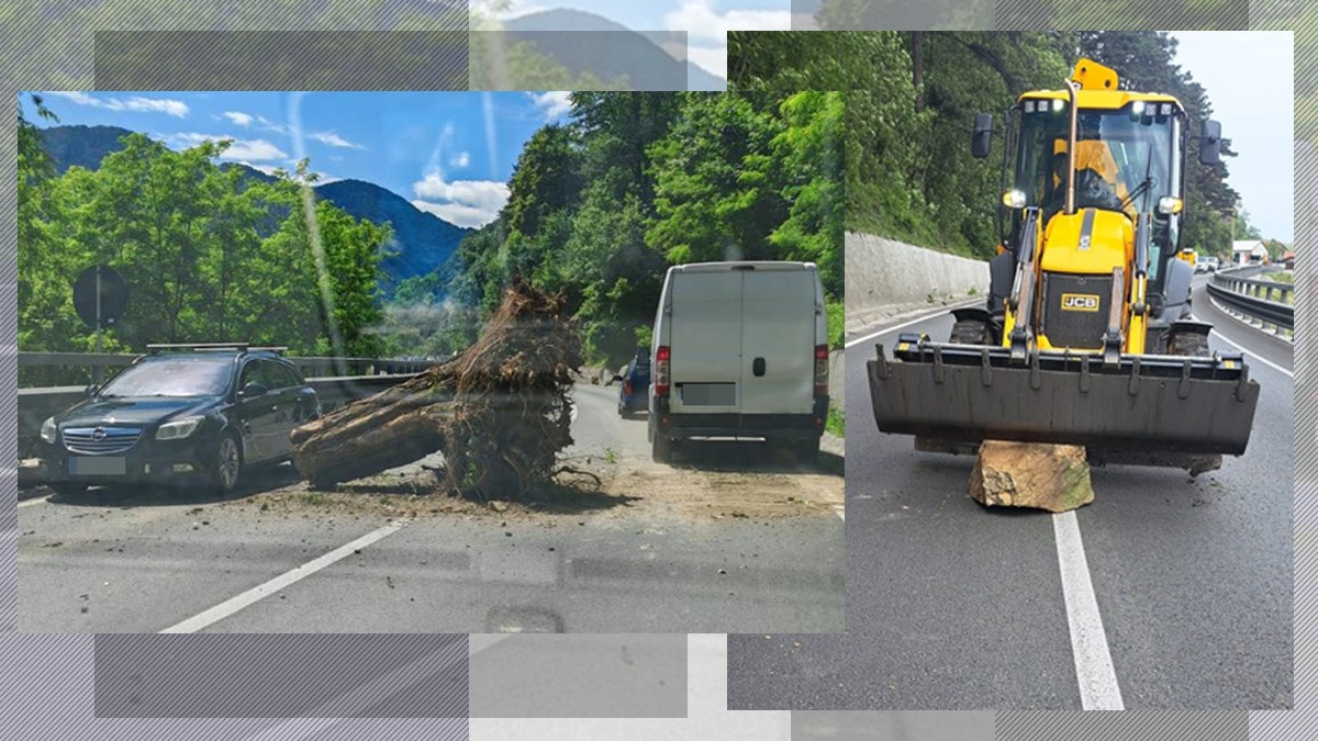 Risc MAJOR de accidente pe Valea Oltului: bolovani și buturugi pe carosabil, în urma defrișărilor pe Secțiunea 2 Boița – Cornetu