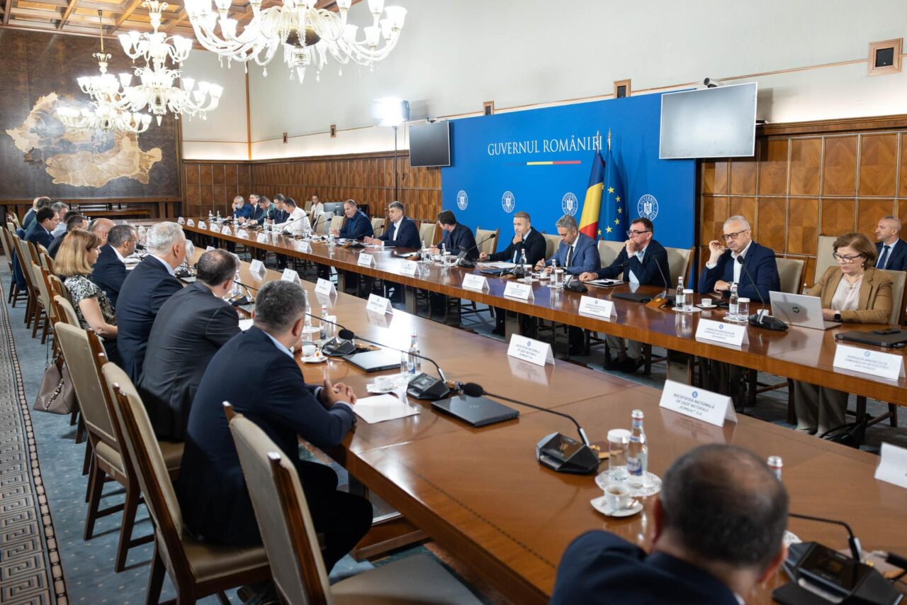 Daniela Daraban, ACUE: ,,Furnizorii de energie sunt îngrijorați de creșterea prețurilor, îi afectează în mod critic”