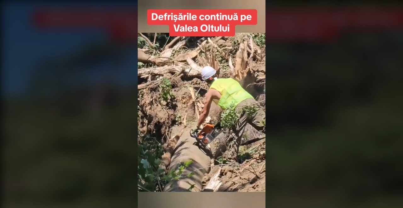 1300 de ARBORI tăiați în două zile/Cu fiecare zi, Autostrada Pitești-Sibiu capătă contur