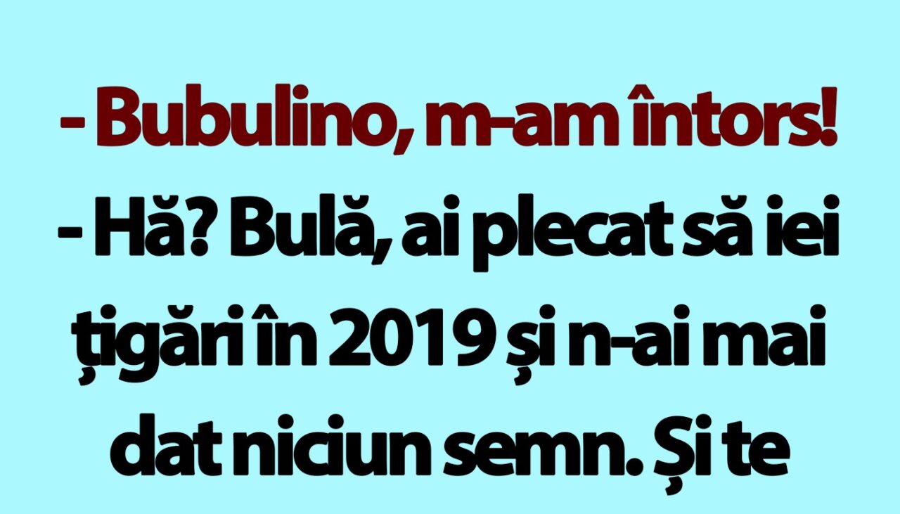 BANC | Bulă se întoarce acasă după 5 ani