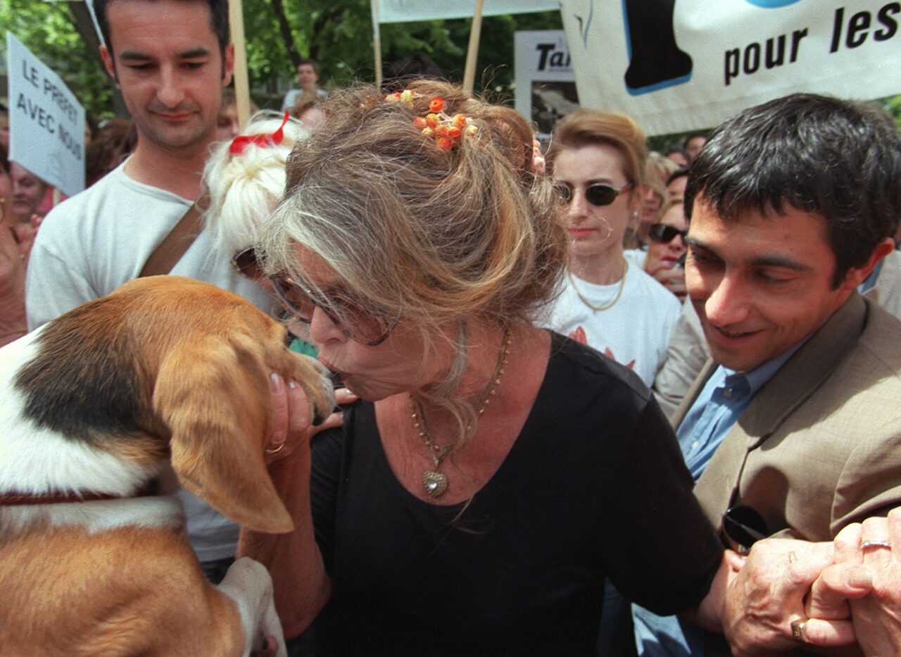 Brigitte Bardot se implică în PROBLEMA câinilor fără stăpân din Turcia. Fosta actrița face APEL la președintele Erdogan