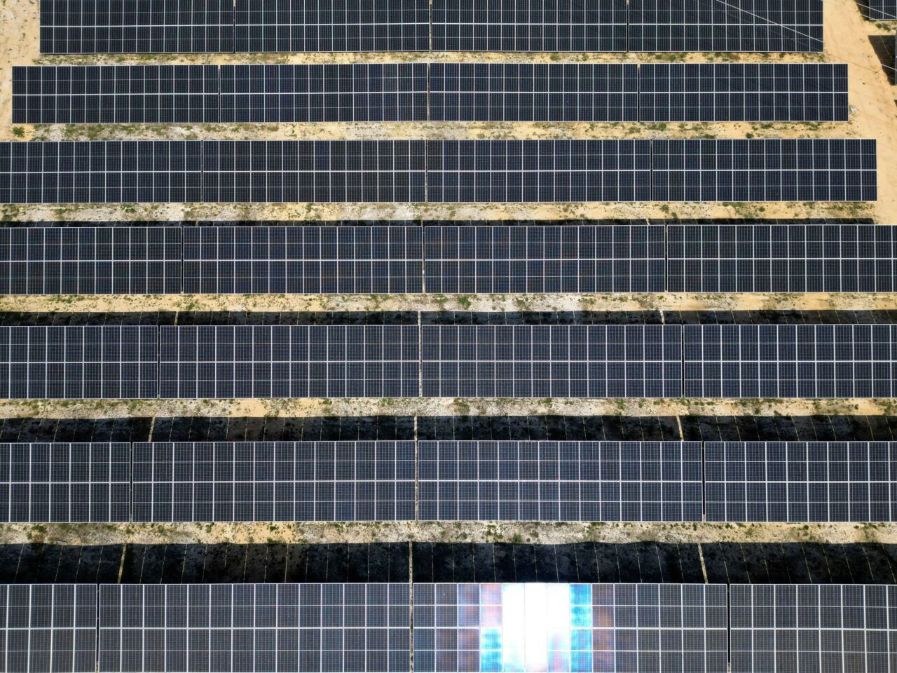 Câștigătorul licitației pentru cele 4 parcuri fotovoltaice dezvoltate de OMV Petrom și CE Oltenia, anunțat în curând. Câtă energie vor aduce în sistem