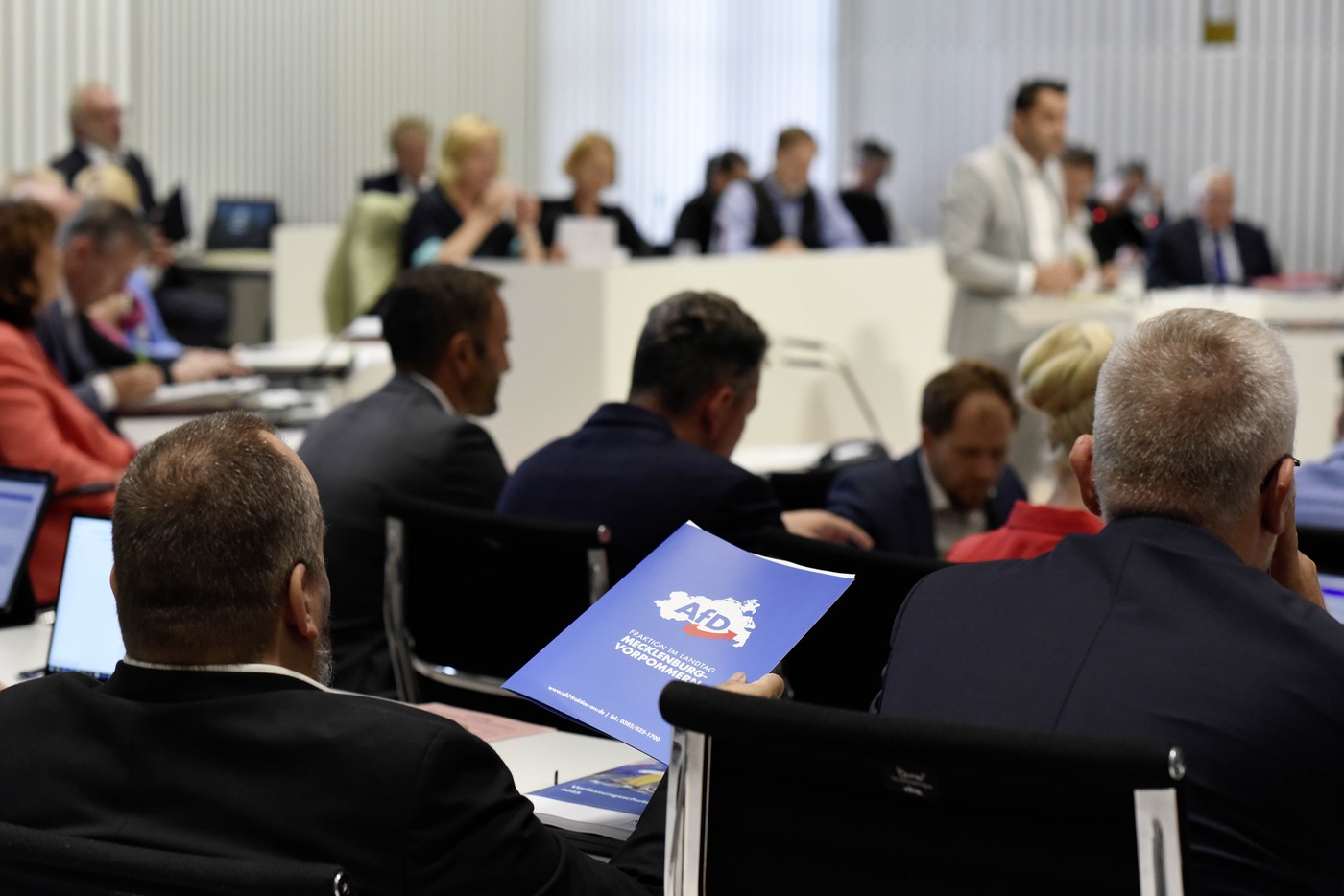 Partidul SOS România a fost respins de grupul parlamentar format de AfD