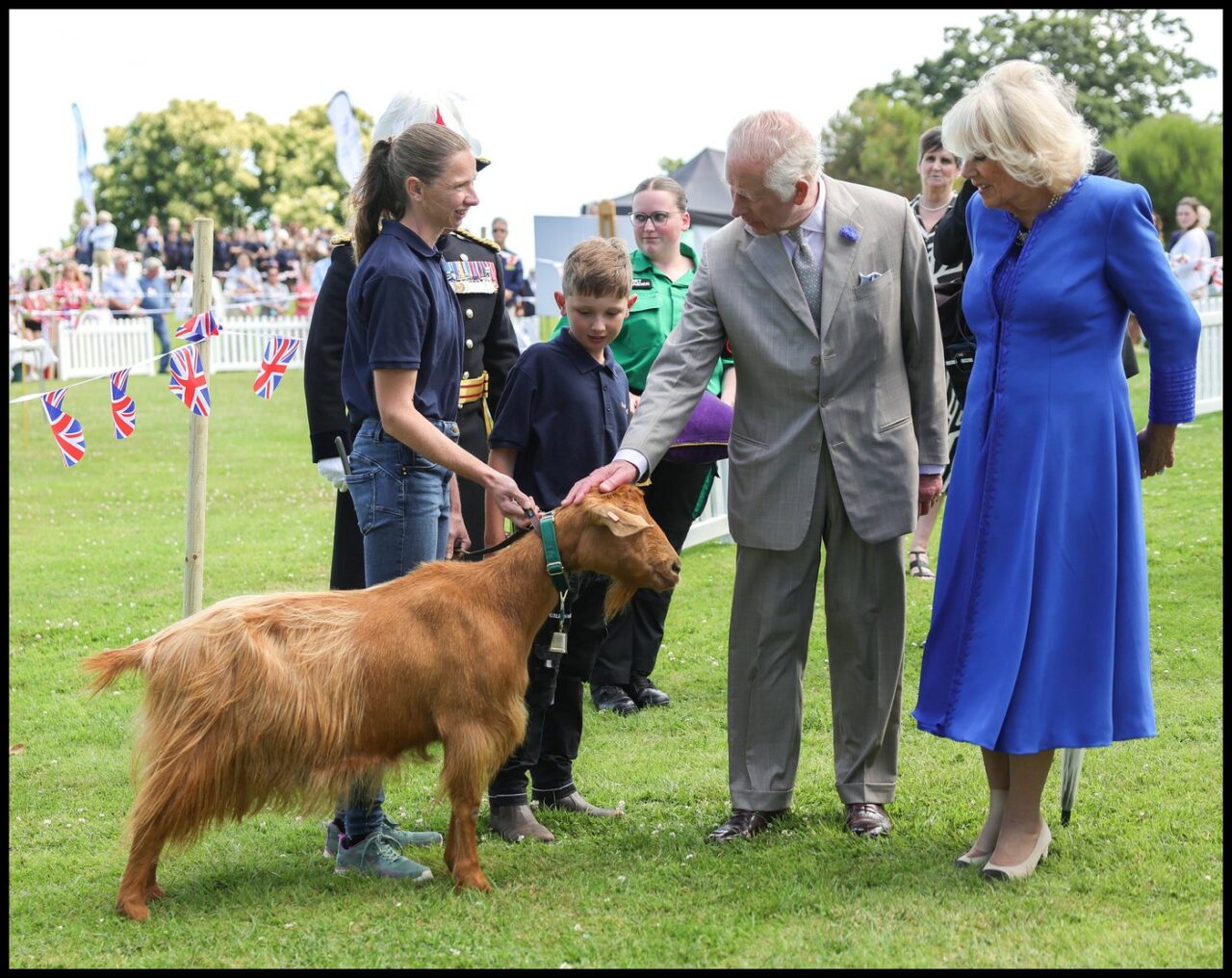 Animalul domestic dintr-o specie rară cu o istorie impresionantă, decorat cu titlul REGAL britanic de regele Charles și regina Camilla