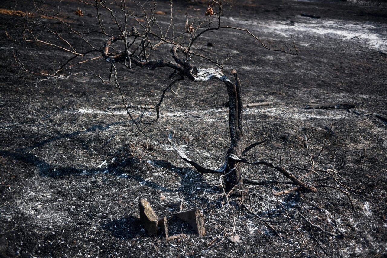 Risc mare de INCENDII în mai multe zone din Grecia. Ce regiuni sunt afectate