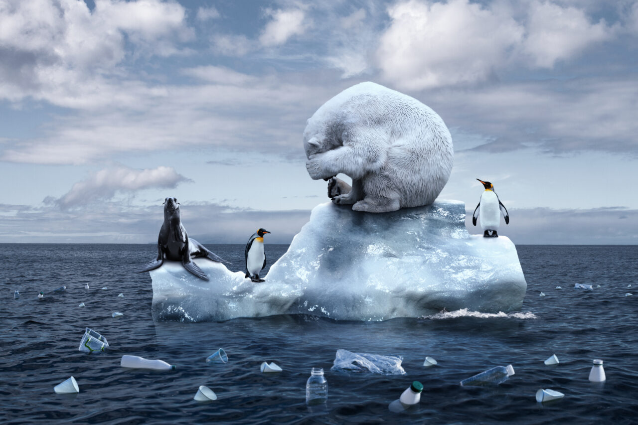 Schimbările climatice şi topirea gheţarilor pot SCHIMBA fața planetei! Cercetătorii au făcut descoperiri uluitoare