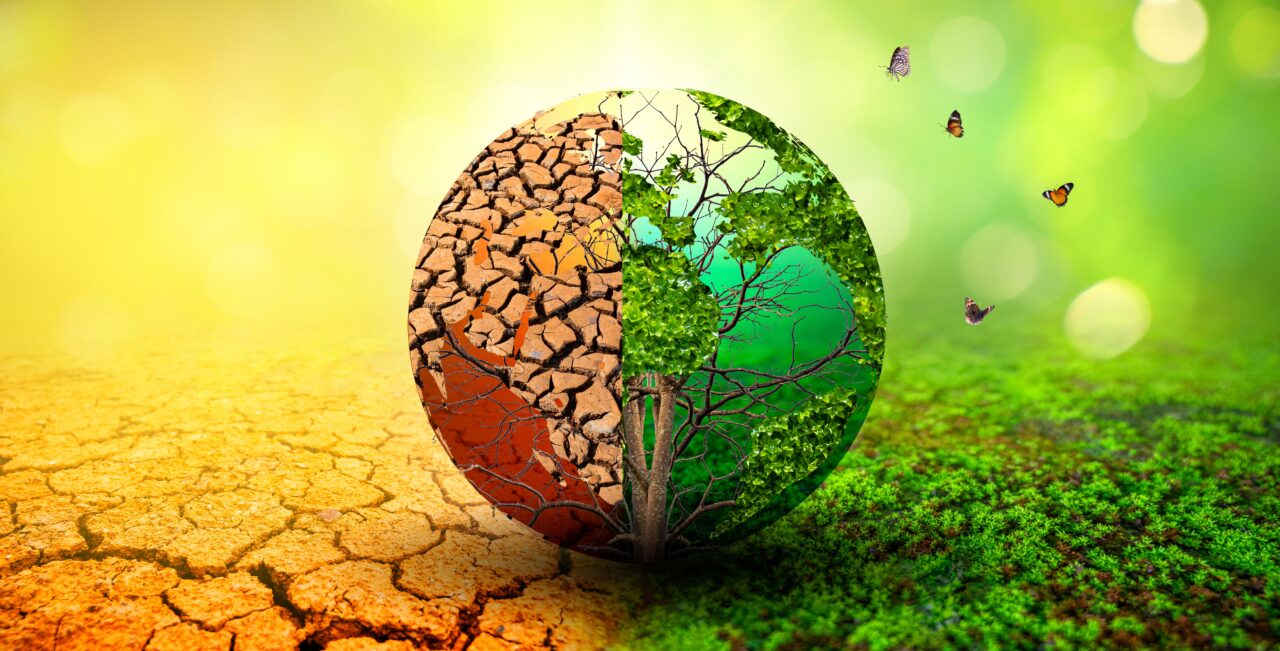 Guvernul aprobă STRATEGIA pentru Adaptarea la Schimbările Climatice / Împrumut de 470 milioane euro de la Banca Mondială
