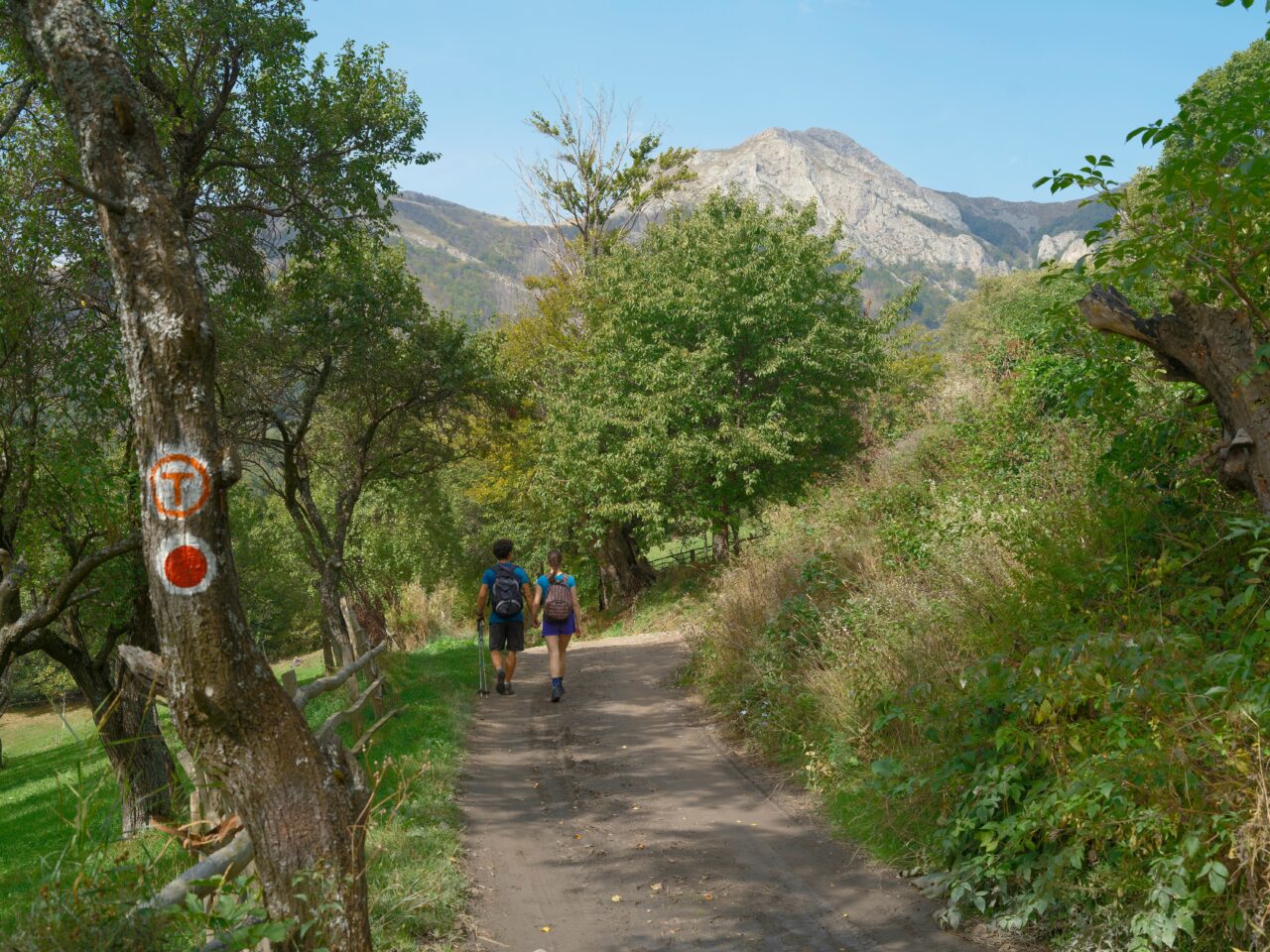 Via Transilvanica, în TOP 100 destinații turistice întocmit de revista Time