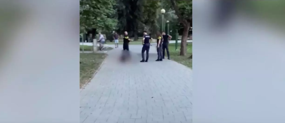 Incident ȘOCANT în Satu Mare: Un ucrainean beat a creat panică într-un parc, după ce a amenințat cu pistolul mai mulți trecători