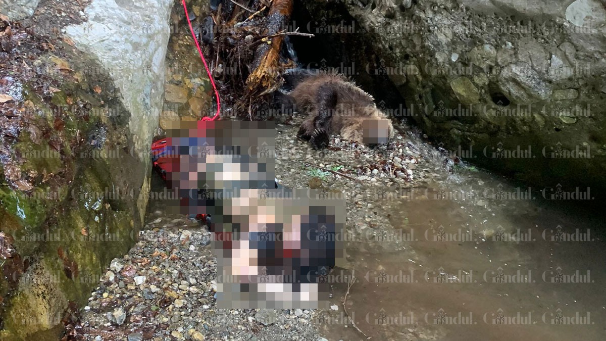 Imagine ȘOCANTĂ cu tânăra de 19 ani ucisă de un urs pe Jepii Mici. Animalul, care a fost împușcat, ar fi atacat-o pe un traseu circulat de turiști