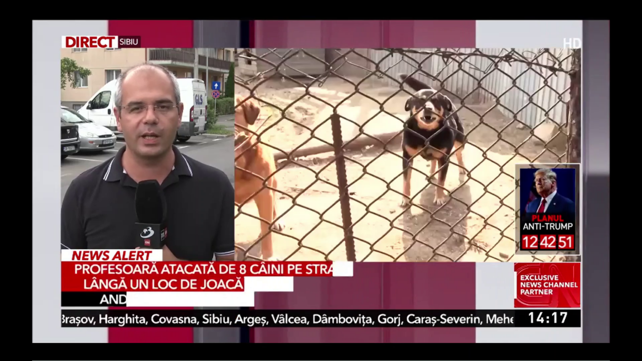 Clipe de GROAZĂ pentru o profesoară din Găești. A fost atacată de o haită de câini maidanezi