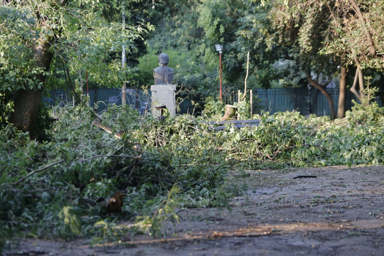Furtuna a făcut RAVAGII și în Parcul Grădina Icoanei din București. Copaci puși la pământ de vântul puternic