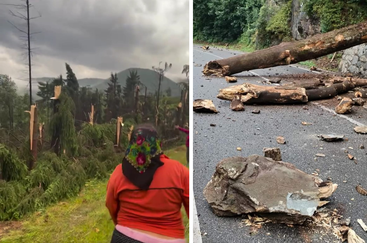 FURTUNĂ devastatoare în Maramureș. Un bărbat a murit trăznit de fulger, altul rănit. O pădure a fost doborâtă de vijelie – VIDEO