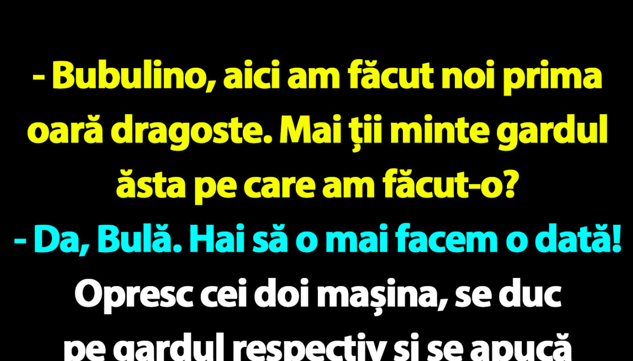 BANC | Bulă și Bubulina se întorc la locul „faptei”