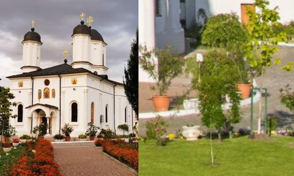 Râmnicu Vâlcea ascunde un colț de paradis, despre care puțini știu. Plante exotice și arhitectură superbă