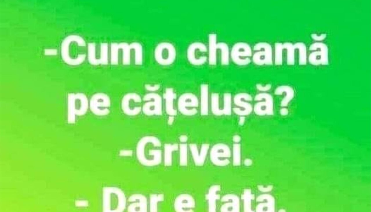 Bancul de sâmbătă | „Cum o cheamă pe cățelușa ta?”