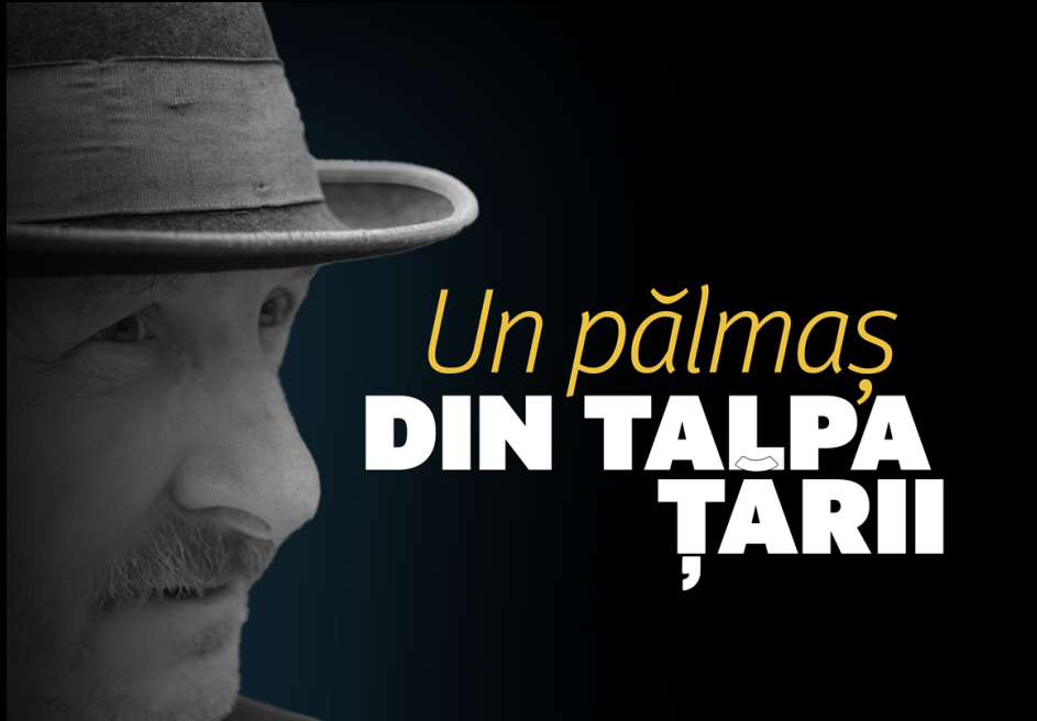Moromeții 3, campanie de promovare cu „SĂGEȚI” către cartea lui Ciucă. „Un pălmaș din talpa țării. Cartea a fost scrisă. Acum urmează și filmul”