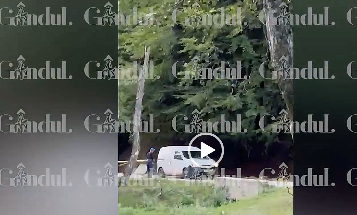A depășit BARIERA în trombă pe un drum forestier din Bucegi, riscând să accidenteze o familie de turiști. Salvamont: Sunați la 112!