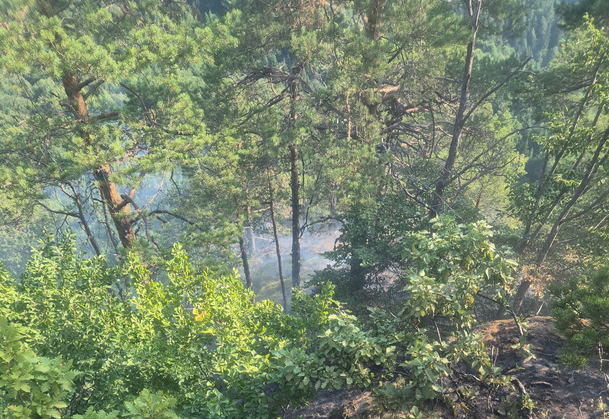 ARDE o pădure din Băile Olănești. Pompierii din Vâlcea nu pot ajunge cu autospecialele pe munte, fiind solicitat în ajutor un elicopter din București