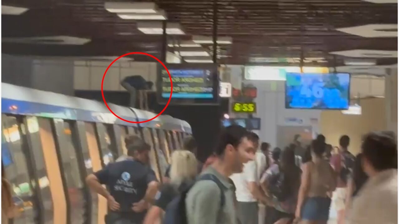 Un bărbat cu probleme a blocat circulația Metroului la Piața Victoriei. A aprins o FUMIGENĂ și a aruncat un act medical manifest de pe vagon