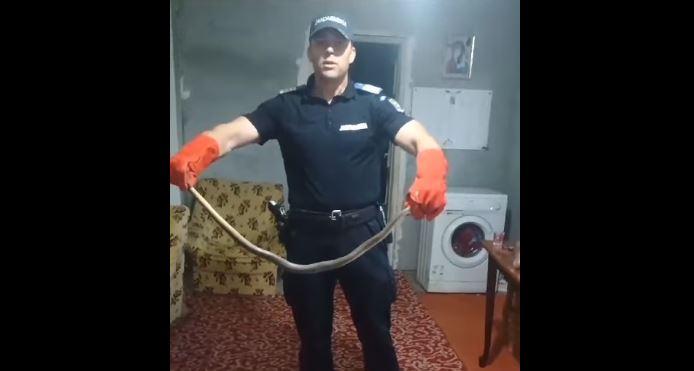 Un ȘARPE, lung de peste 2 metri, a fost descoperit într-o casă din județul Constanța. La fața locului au fost chemați de urgență jandarmii