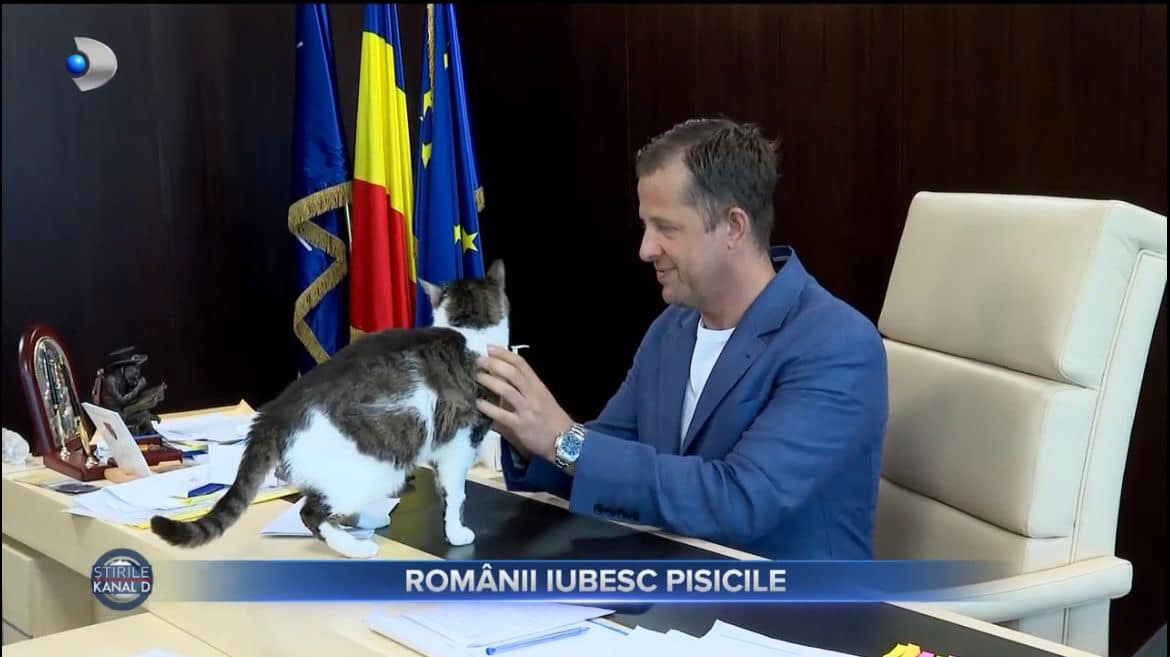 (P) Hubert THUMA a sărbătorit Ziua PISICII la birou/”Ne dau LECȚII de preț”