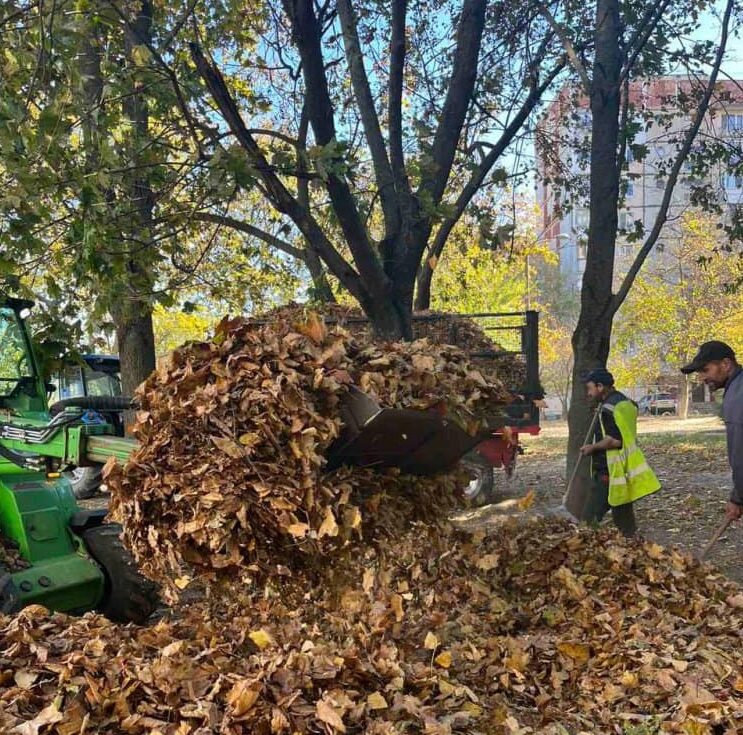 (P) SALUBRIZARE Sector 5: Reciclarea și colectarea selectivă, esențiale pentru protejarea mediului în sezonul de toamnă