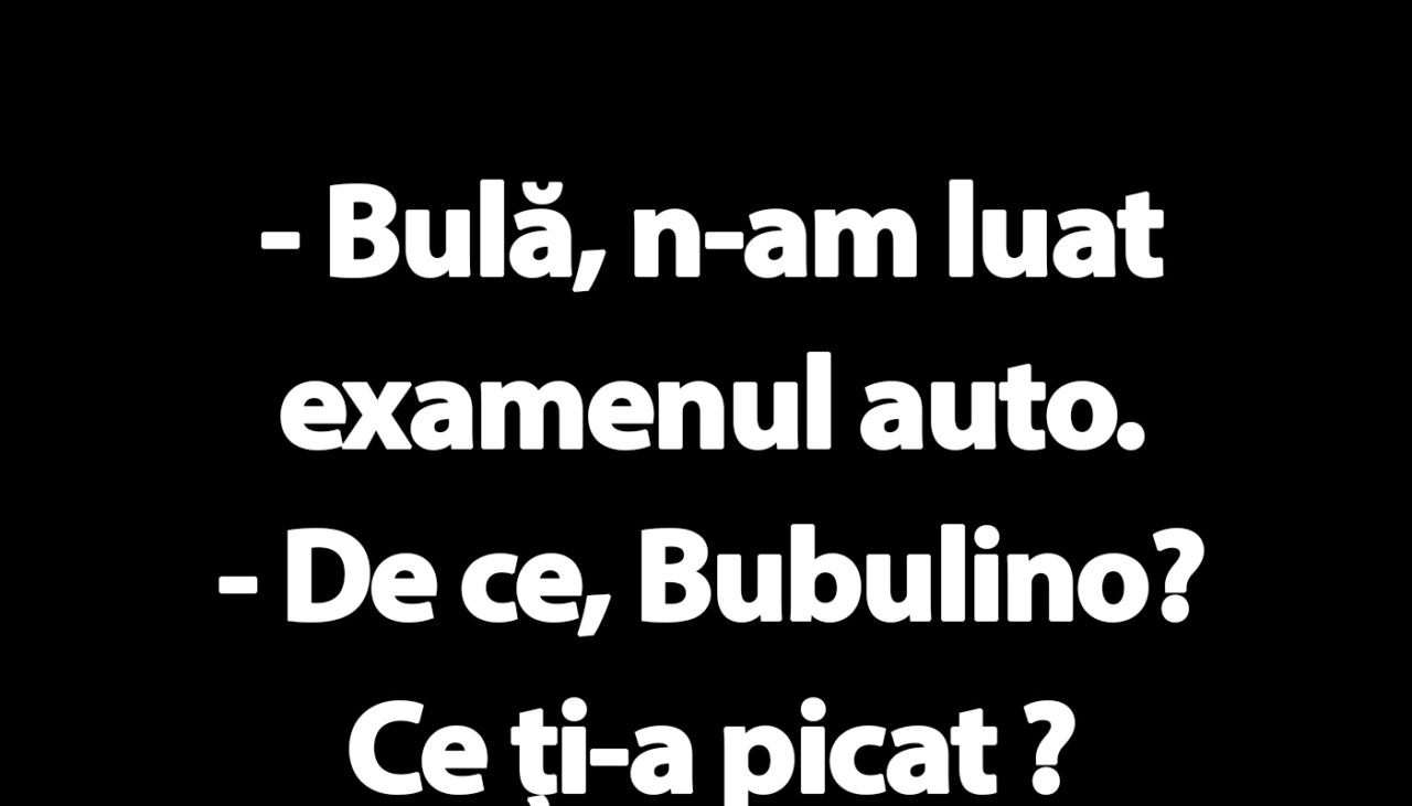 BANC | Bulă, Bubulina și examenul auto