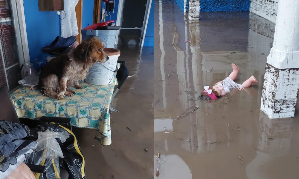 Strigătul de DISPERARE al unei femei, care încearcă să salveze casa bunicilor din Slobozia Conachi: „O imensă tristețe, furie si resemnare”