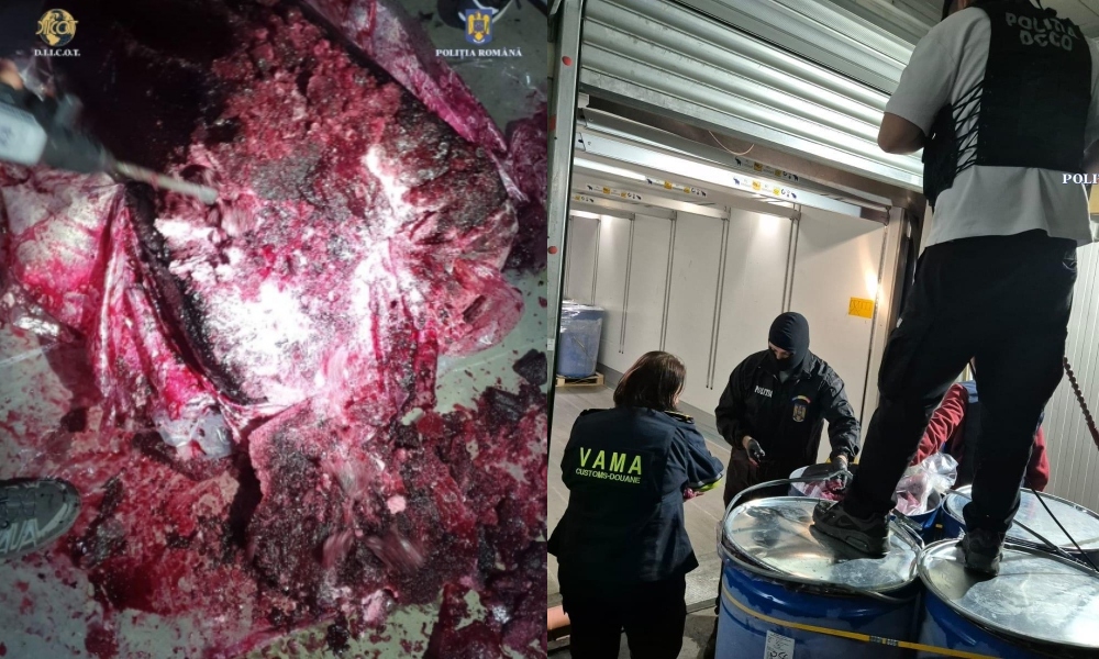 TRAFICANȚII, care au introdus în România tone de cocaină prin portul Constanța, au fost ARESTAȚI