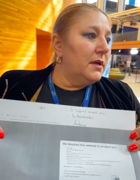 Diana Șoșoacă NU a susținut ajutoarele pentru sinistrați. Europarlamentara SOS: „Amendamentele s-au dat în plen fără posibilitatea studierii lor”