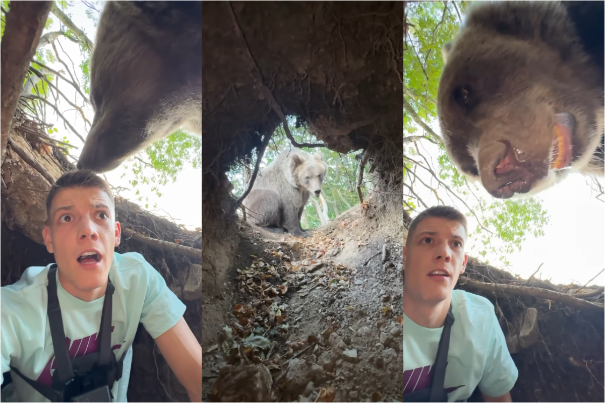 Pățania unui influencer din Serbia, în pădure. A dat nas în nas cu ursul: „Mă atacă”