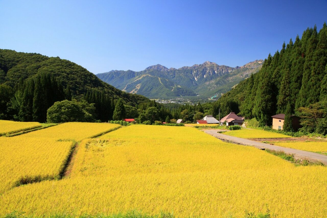 Locul UNIC din România, care seamănă cu o stațiune faimoasă din Japonia și se află foarte aproape de Brașov