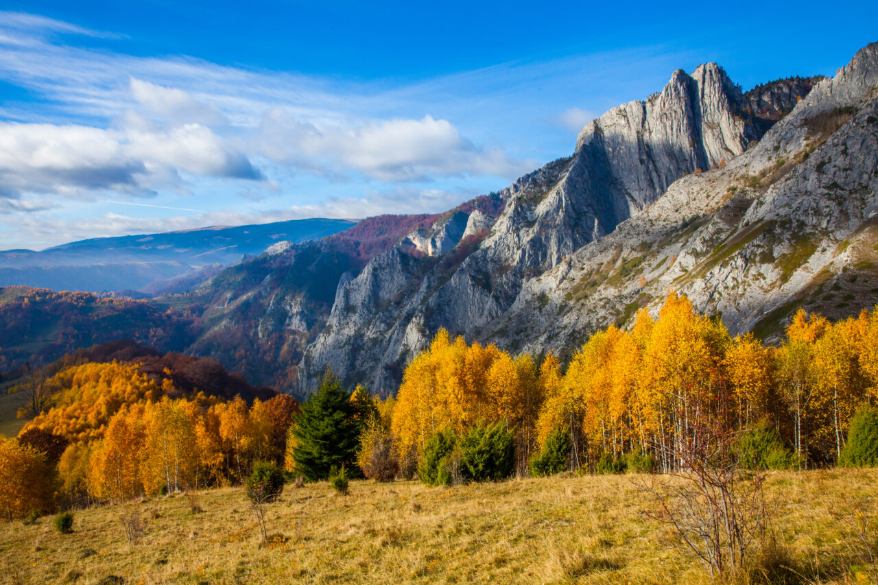 Stațiunea care rivalizează cu Poiana Brașov. Se află în vestul României și atrage mii de turiști