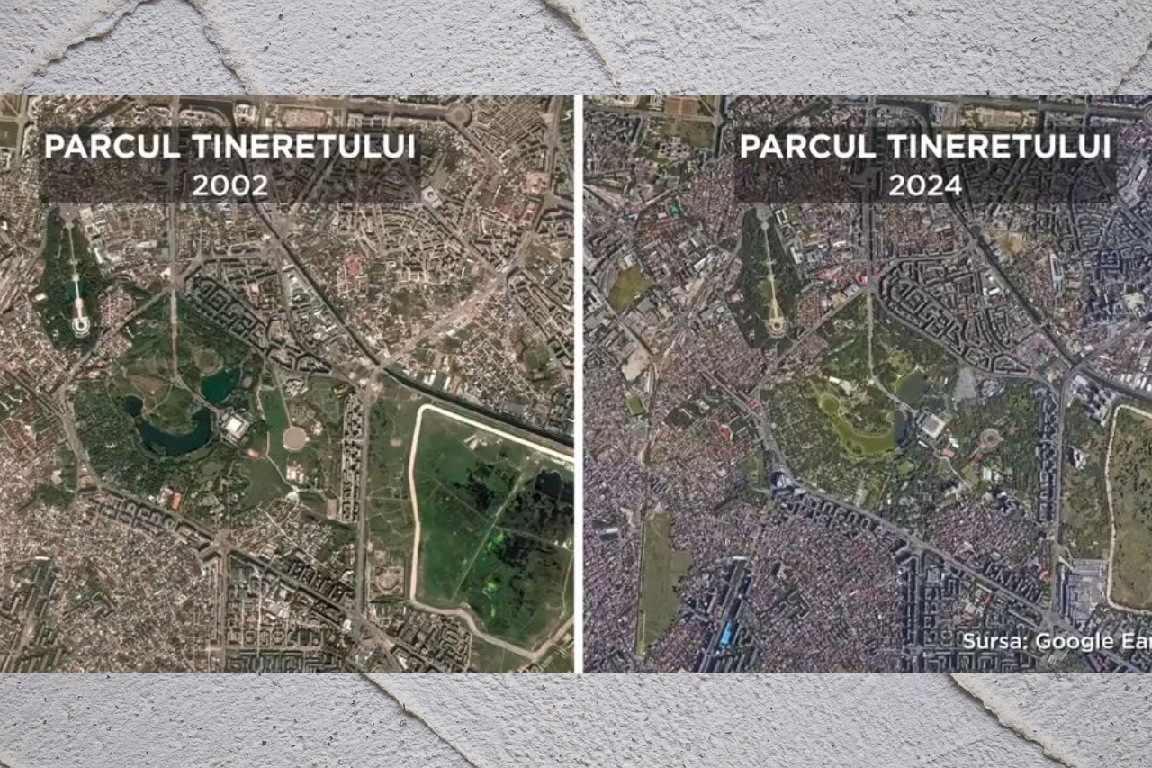 Un mare spațiu verde din Parcul Tineretului a fost transformat total! Cum arată acum, în 2024
